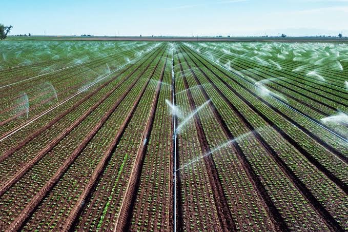 irrigation pipe Saudi Arabia